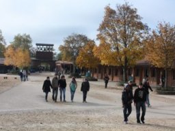 Taize