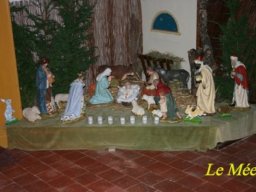 img_1263240179_6