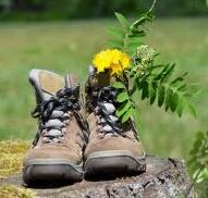 chaussures de marche