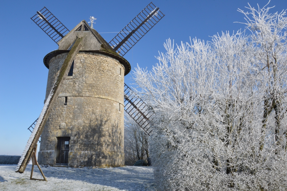 2026 CULTURE LE MOULIN 6 02 1000