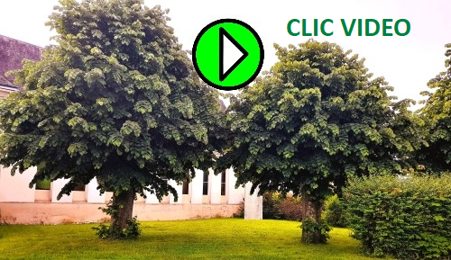 2026 SC ELAGAGE LES TILLEULS CLIC VIDEO